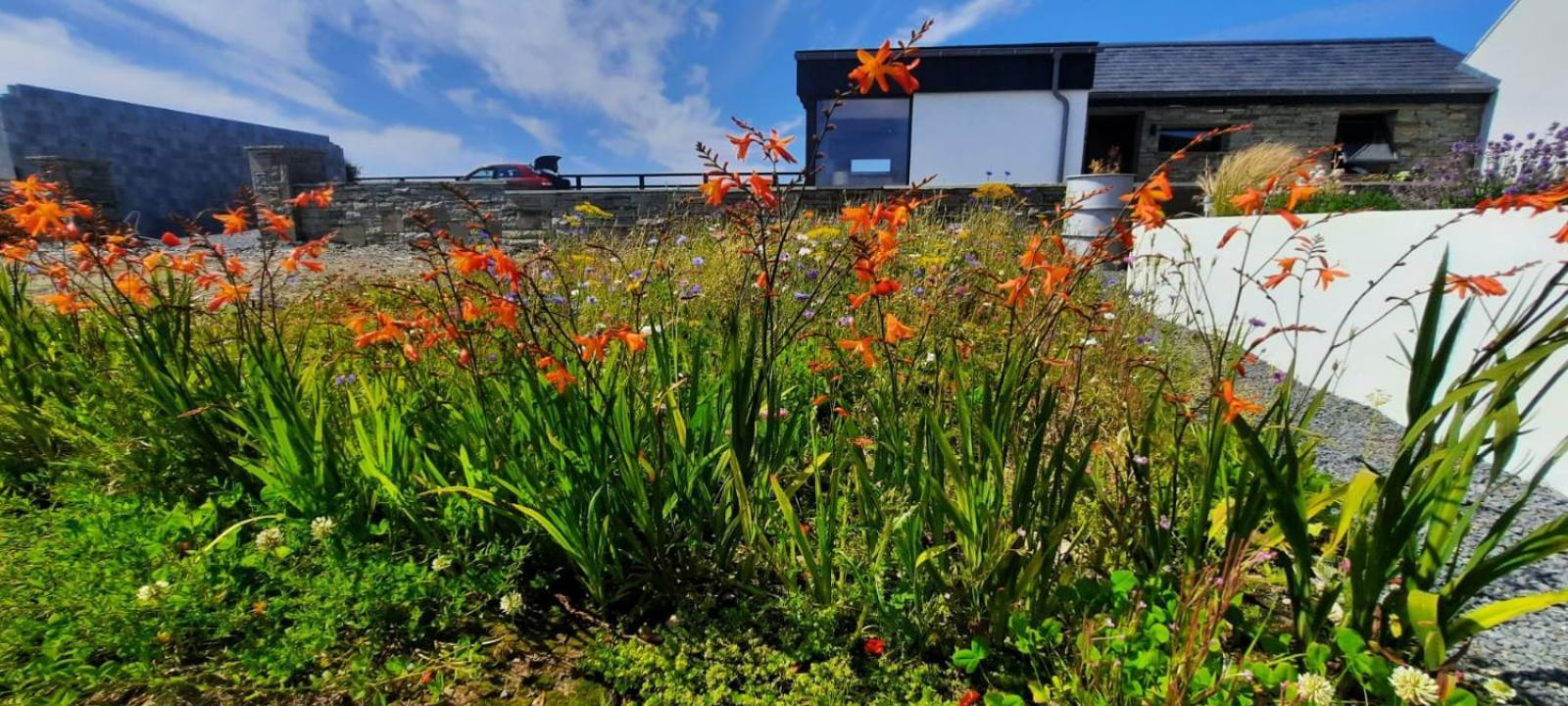 Rose Meadow Lodge Liscannor Zewnętrze zdjęcie